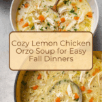 Lemon Chicken Orzo Soup Recipe
