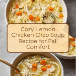 Lemon Chicken Orzo Soup Recipe