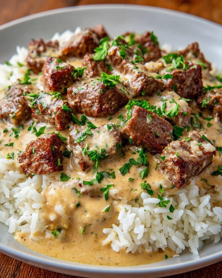 Steak Queso Rice Recipe