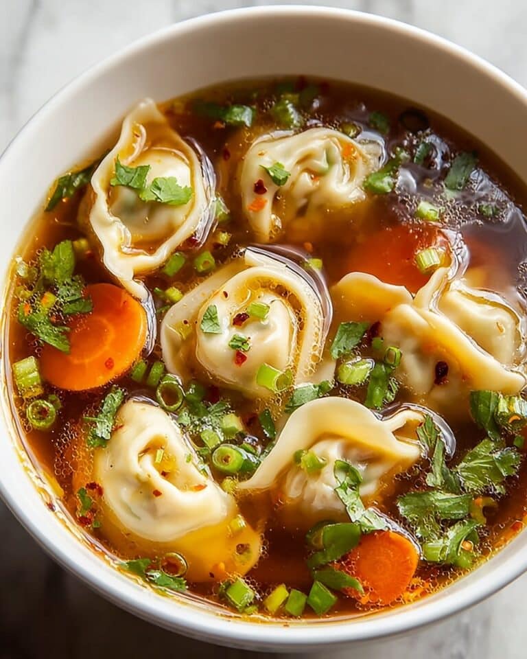Potsticker Soup Recipe